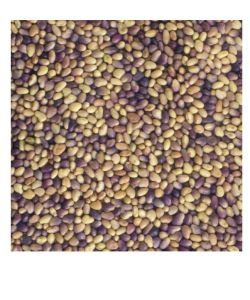 Seeds germinate - Red Clover BIO, 150 g